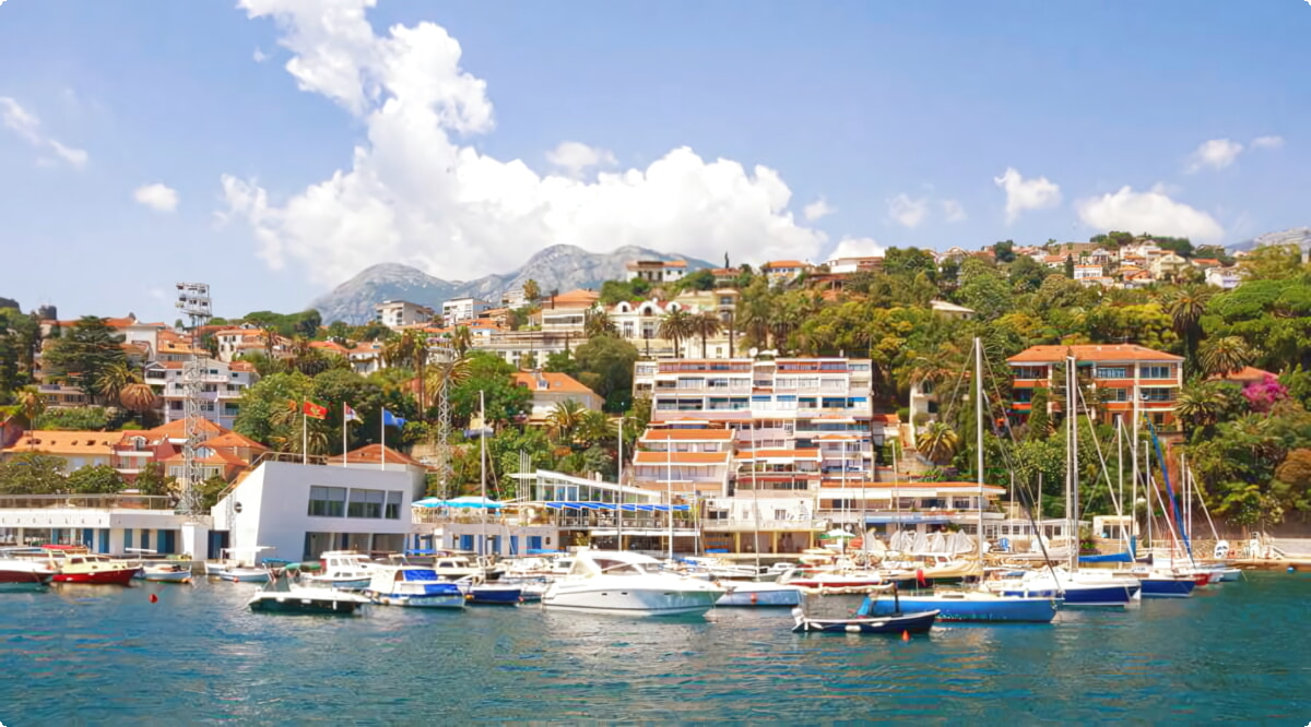 Quais são as escolhas de veículos mais populares em Herceg-Novi?